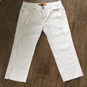 Refuge White Distressed Capri Jeans, Size 11.